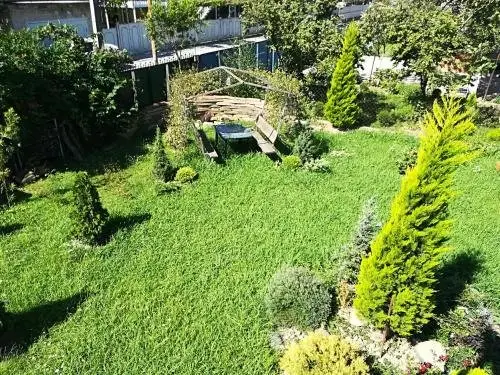 Кутаиси: Guest house Xomli