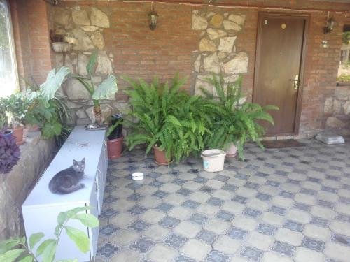 Кутаиси: Guest house Xomli