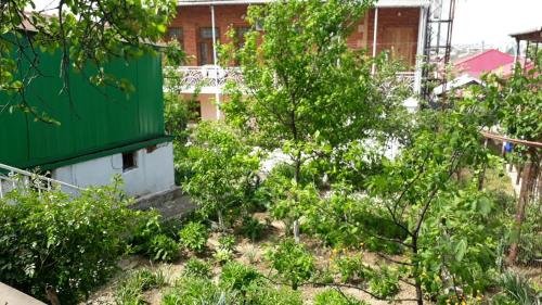 Кутаиси: Geo Guest House