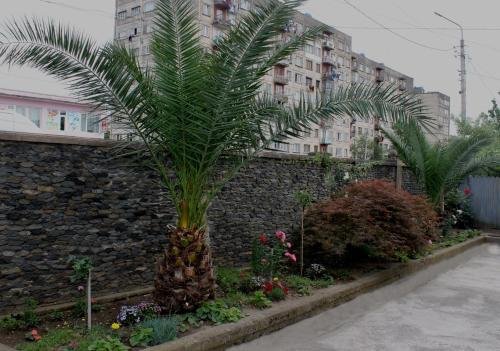 Кутаиси: Green Guest House
