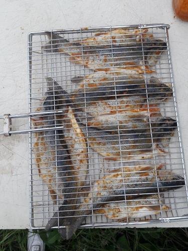 Вардзиа: Fish Hotel
