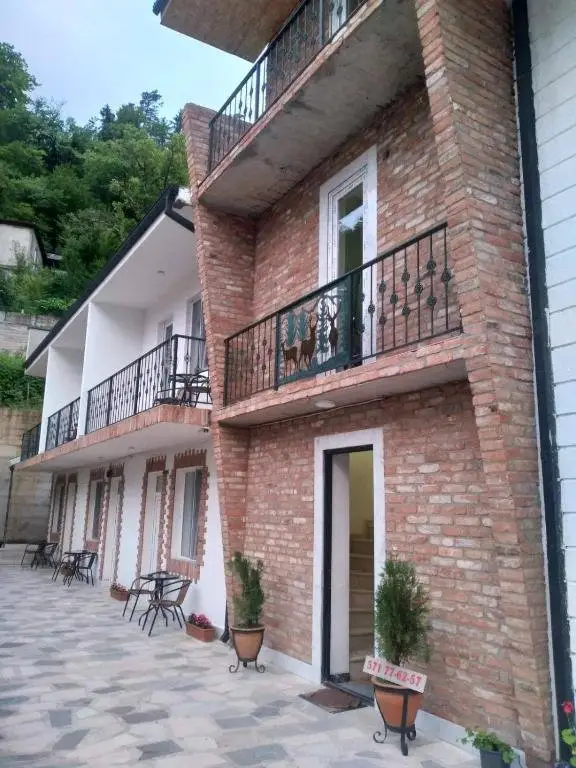 Боржоми: Family house