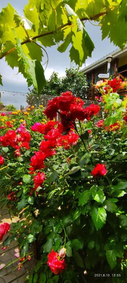 Ейск: Гостевой Дом Ария