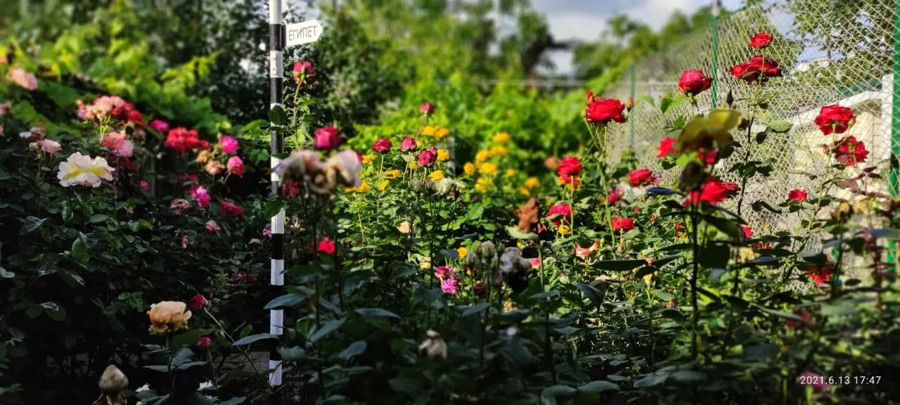 Ейск: Гостевой Дом Ария