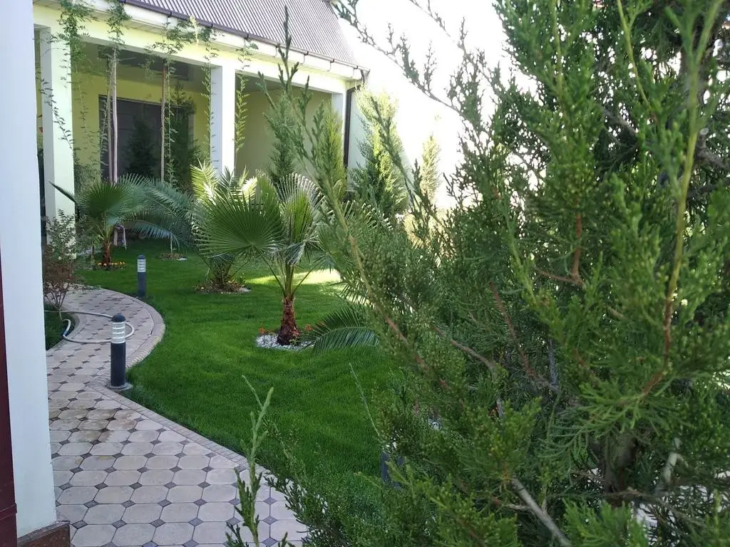 Самарканд: Green house Samarkand B&B
