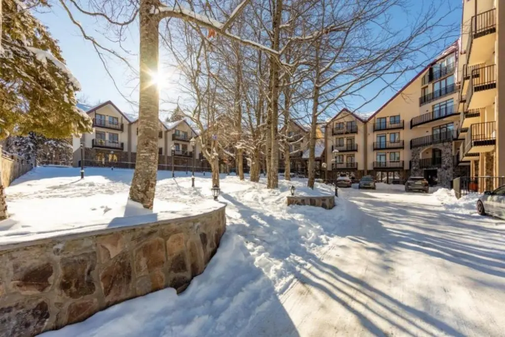 Бакуриани: Komorebi Bakuriani Resort