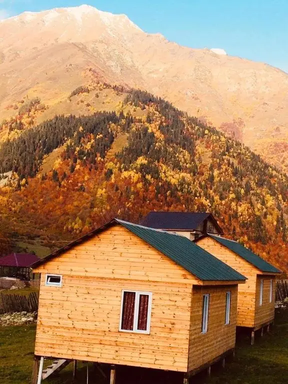Местиа: Ushba Cottages