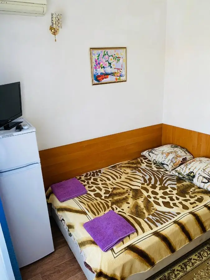 Анапа: Svetlana Mini Hotel