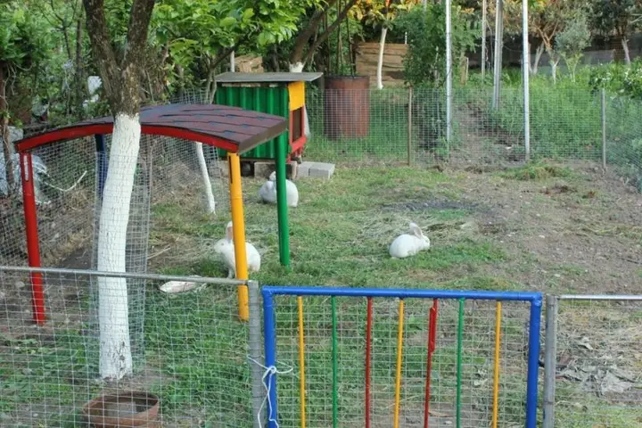 Алахадзи: Guest house Eiva