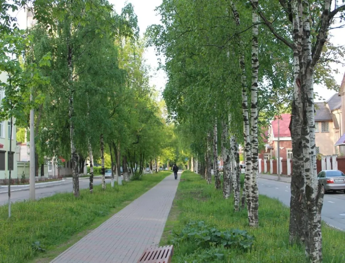Череповец: Отель Визит