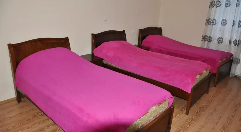 Бакуриани: Lamani Hotel