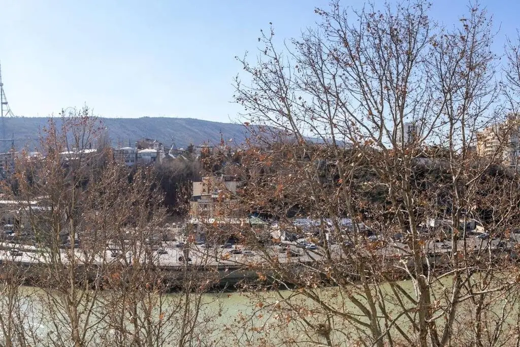 Тбилиси: Wehost Apartment Close to Agmashenebeli