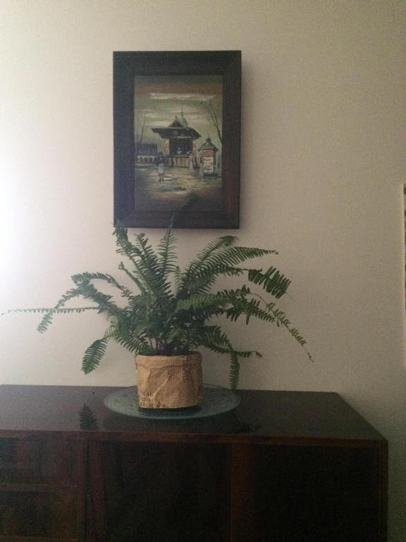 Тбилиси: Tete,S Home