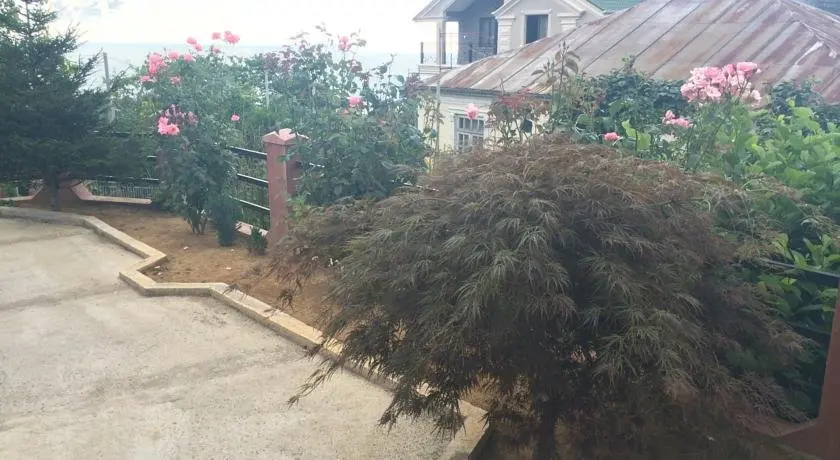 Батуми: To Jijavadze Guest House