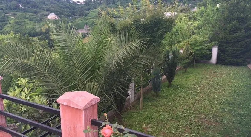Батуми: To Jijavadze Guest House