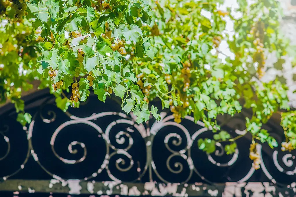 Тбилиси: Апартаменты Comfortable apartment with veranda Tbilisi