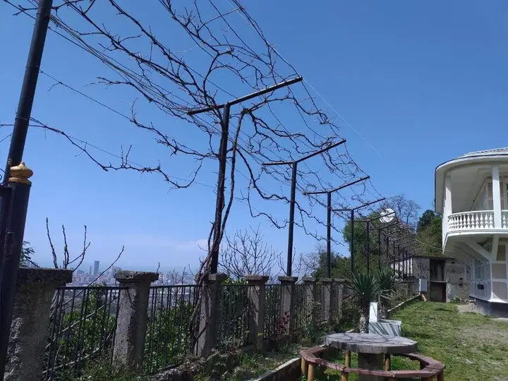 Батуми: Zura's House In Batumi
