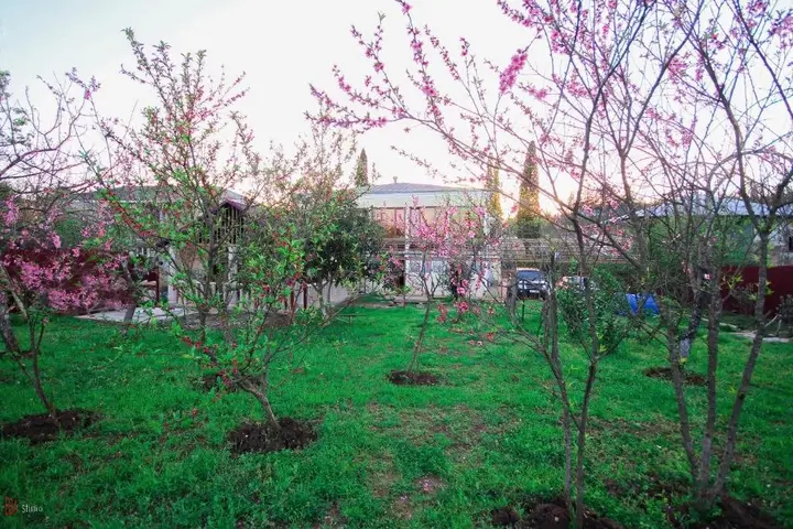 Кутаиси: Green Garden Guest House
