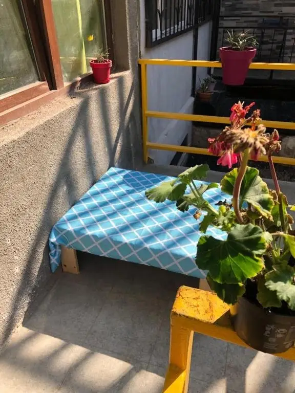 Тбилиси: Wings Hostel