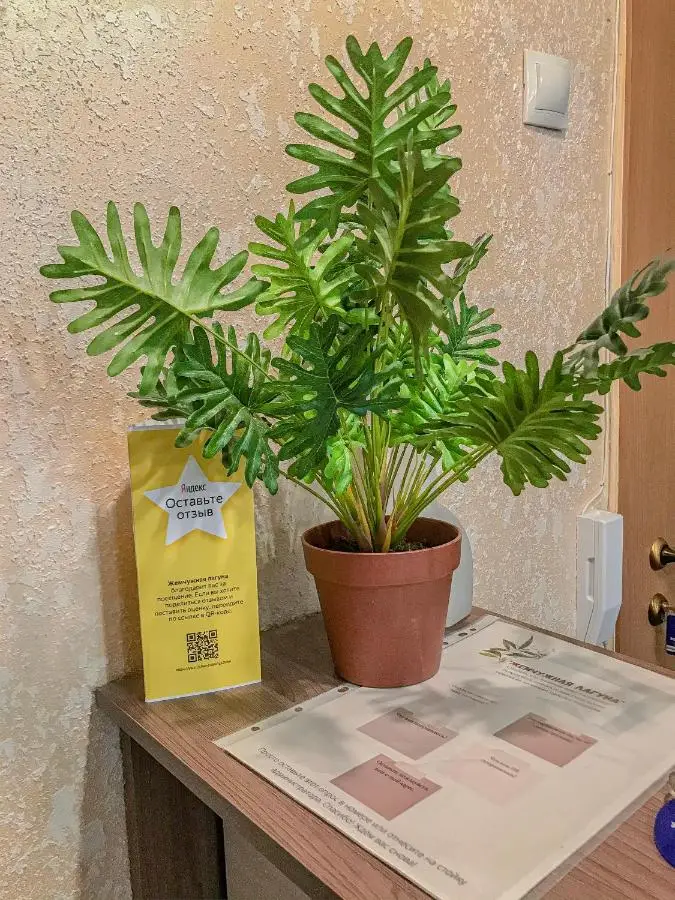 carousel image 4