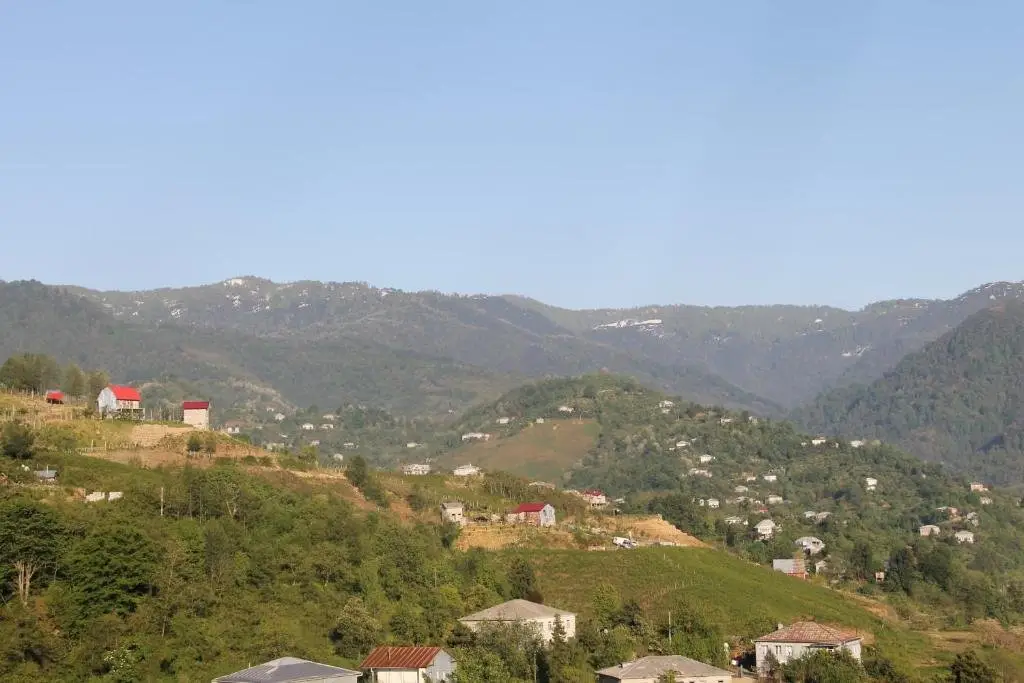 Батуми: Guest House Villa Barski