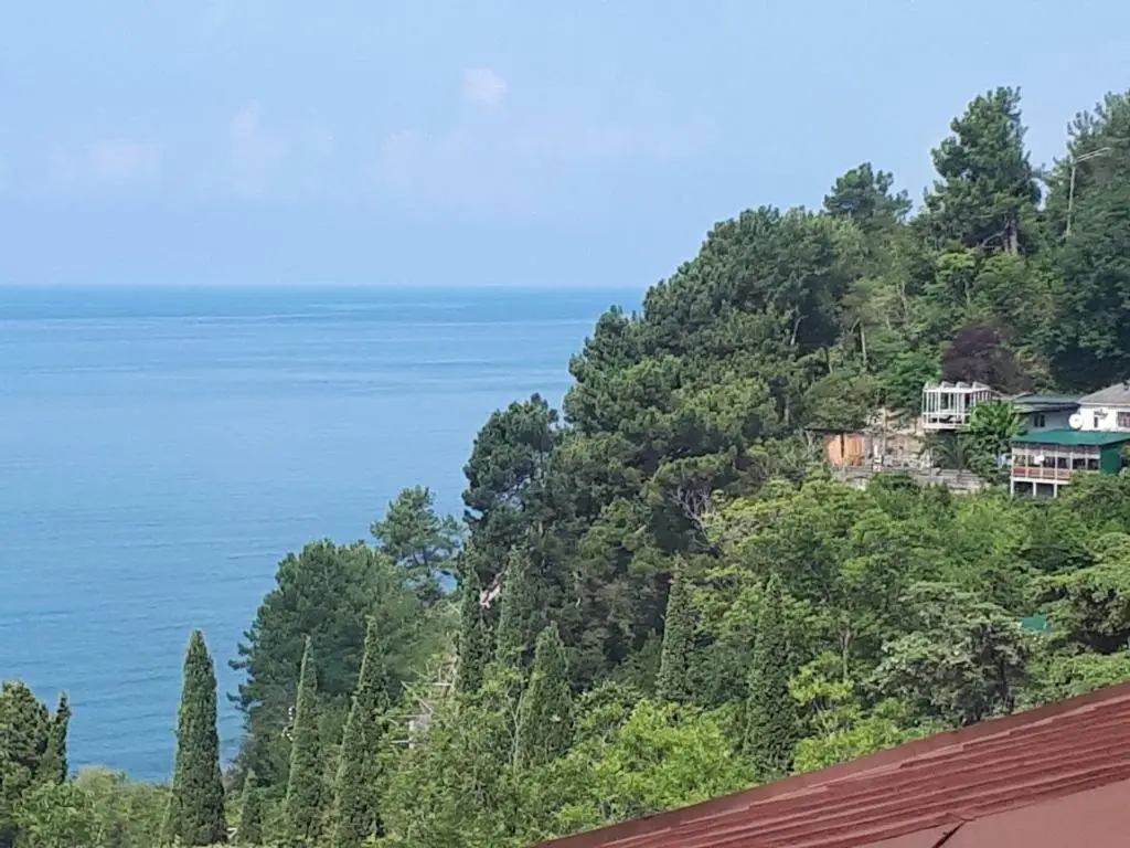 Холодная Речка: U morya Guesthouse