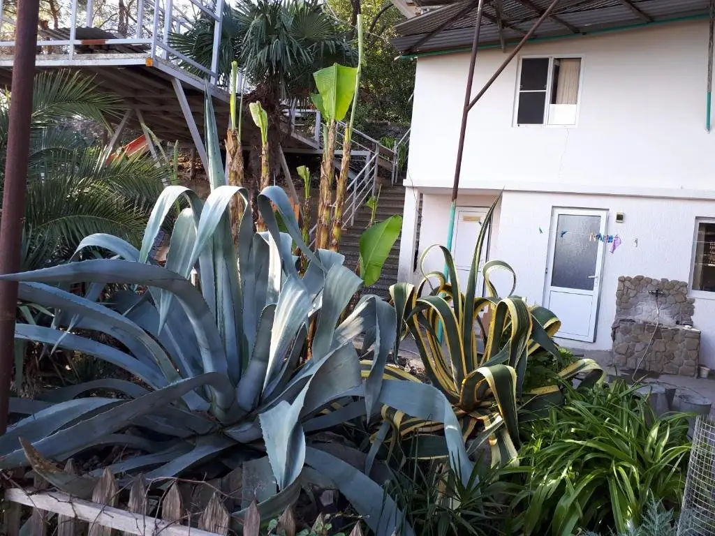 Холодная Речка: U morya Guesthouse