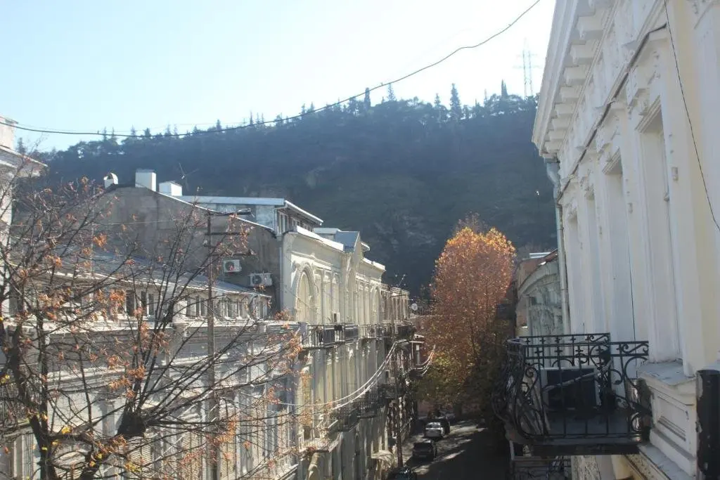Тбилиси: Guest House Tabidze.19