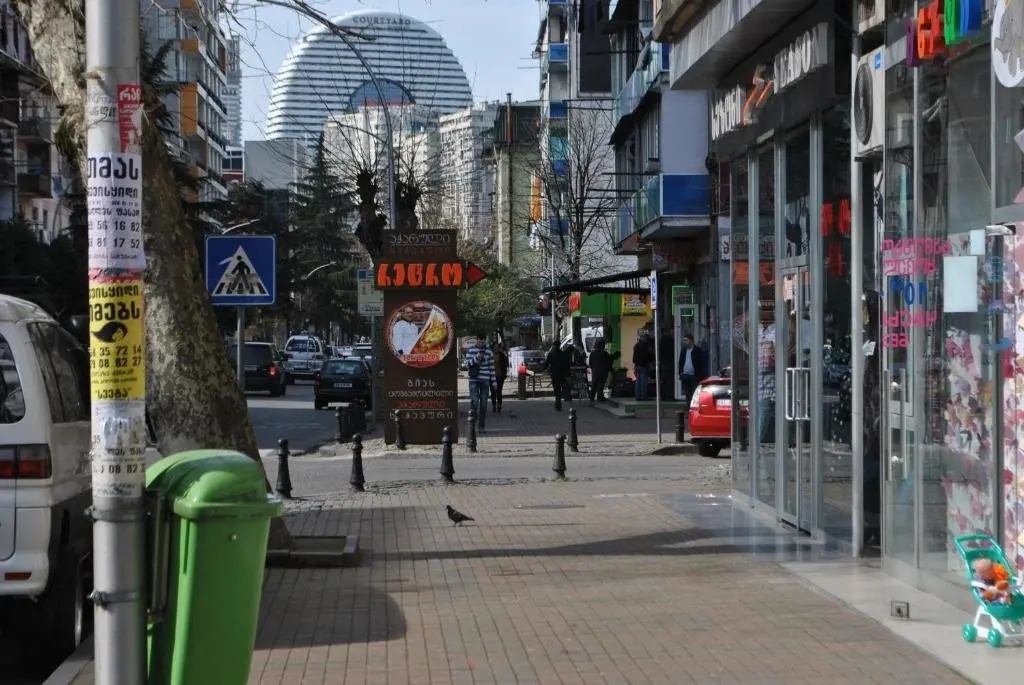Батуми: GORGILADZE.STR 61 White Apartament