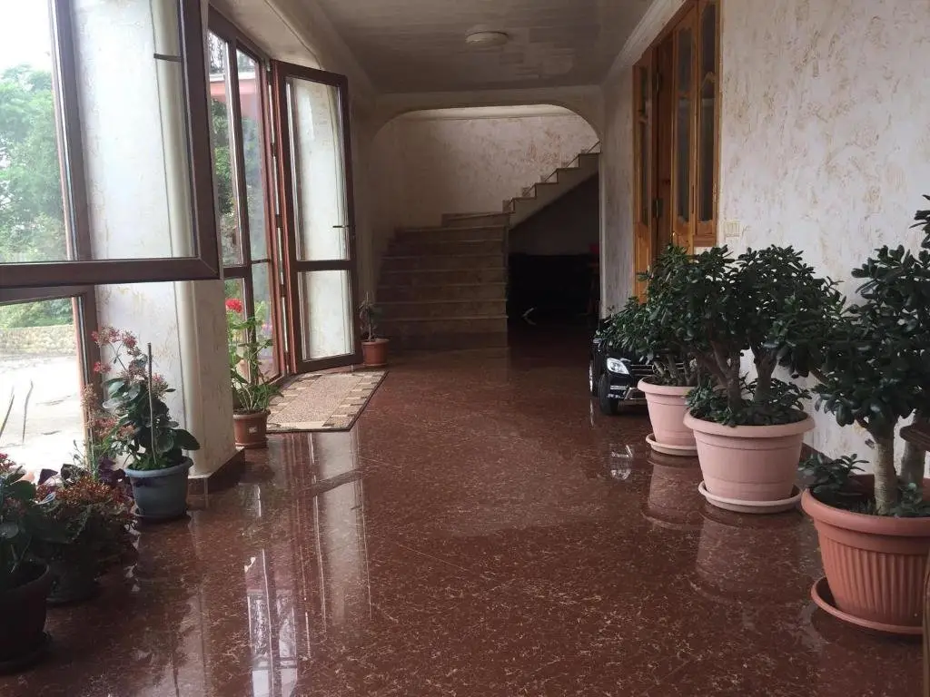 Тбилиси: Flower House