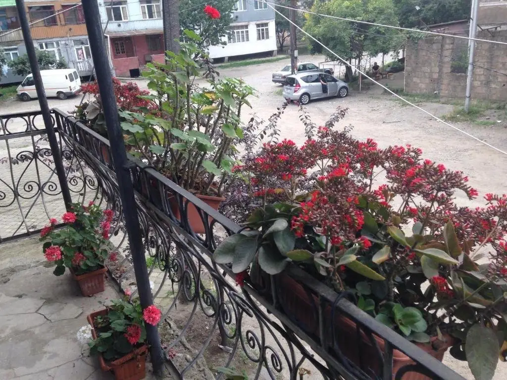 Батуми: Guest House 151-2