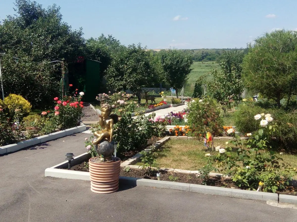 Radchenskoye: Gostevoi Dvor Ivushka