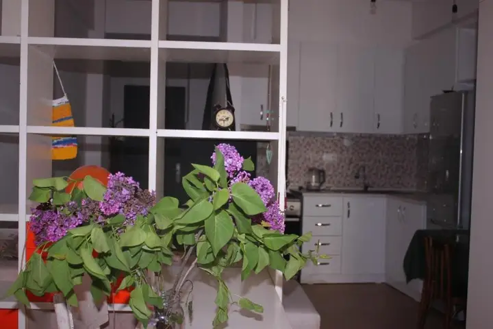 Тбилиси: cosy studio appartment