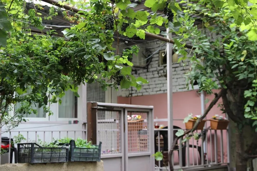 Тбилиси: Guri's Apartment in Old Tbilisi