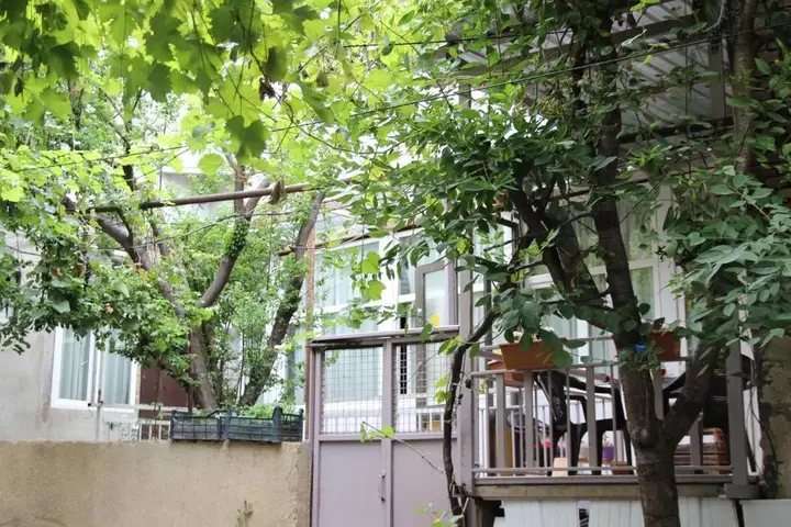 Тбилиси: Guri's Apartment in Old Tbilisi