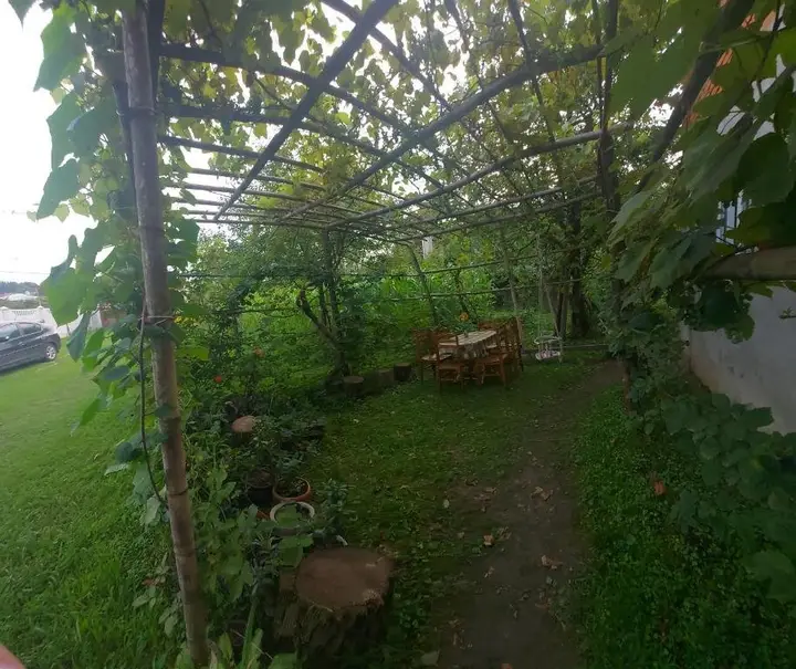 Мартвили: Guest House Sveta