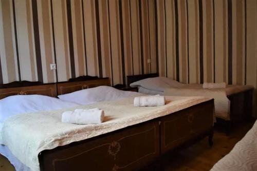 Местиа: Eliso'S Guesthouse