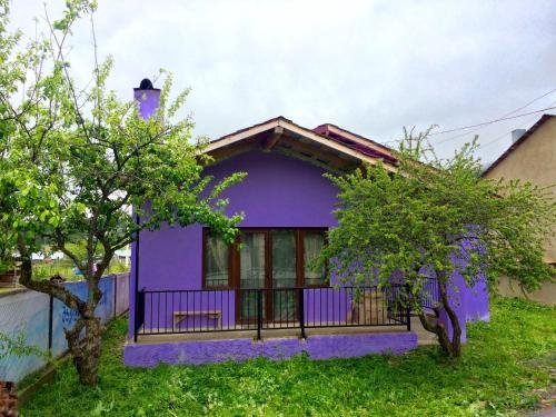 Бакуриани: Family Hotel