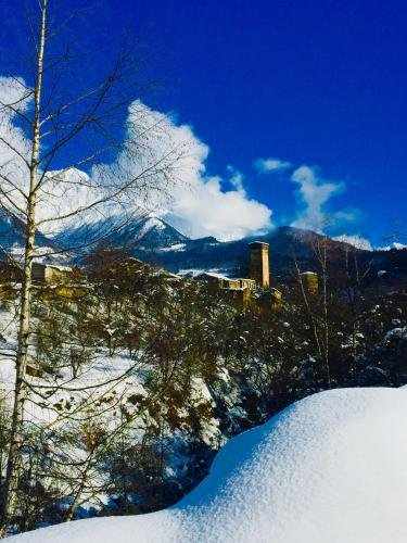 Местиа: Guesthouse AlpenRose