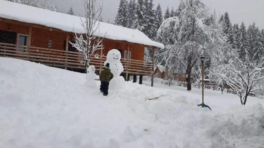 Местиа: Cottage Shgedi