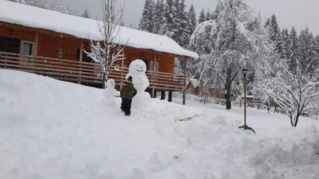 Местиа: Cottage Shgedi