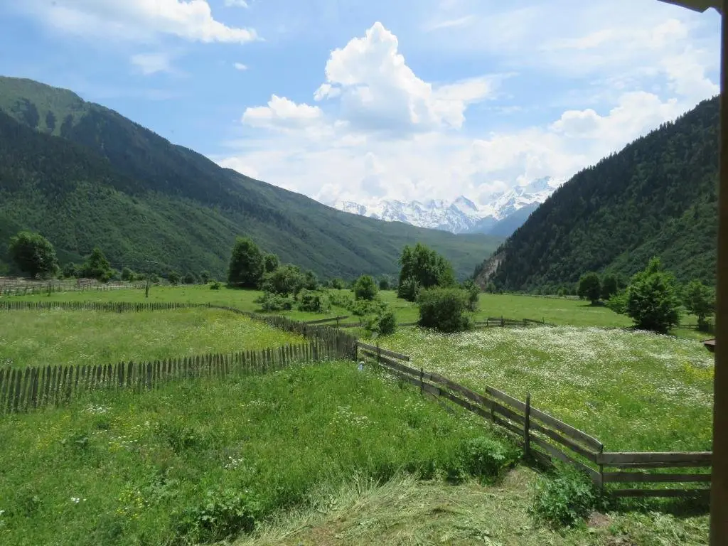 Местиа: Guest House Guli
