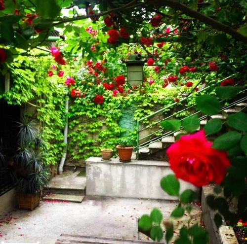Тбилиси: Guest House Villa Gardenia