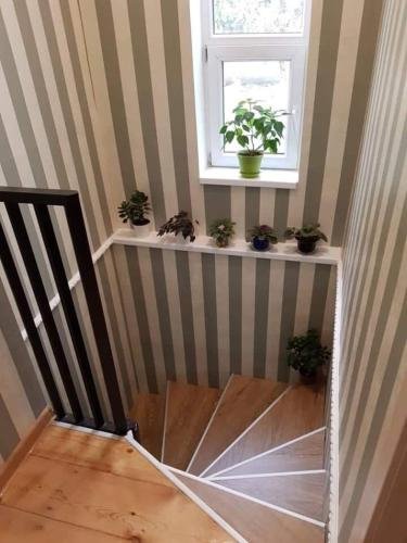 Кутаиси: Friendly Guest House