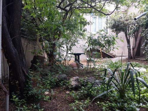 Тбилиси: Garden-House in downtown.