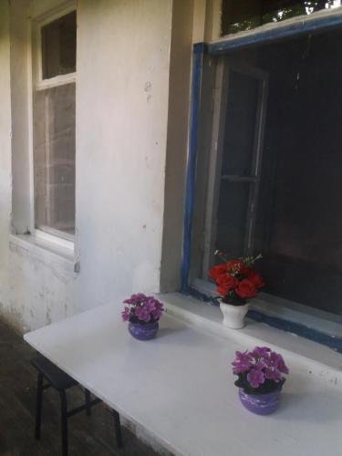 Тбилиси: Guesthouse Patri