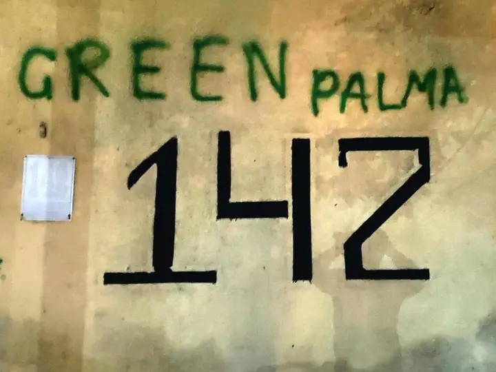 Кутаиси: Green Palma