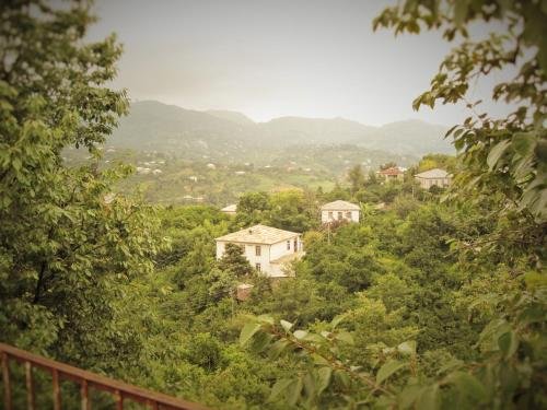 Чакви: Nino Holiday Home Chakvi