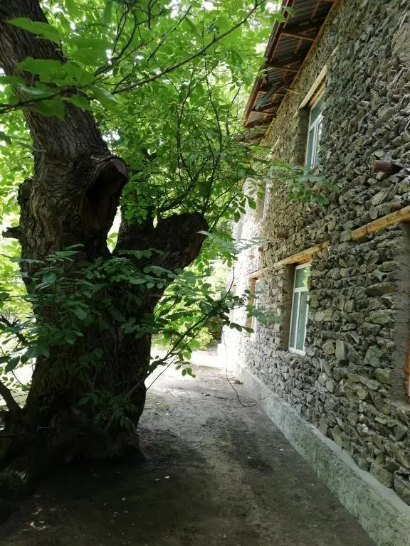 Сентяб: Manzarahoi Sentob hostel