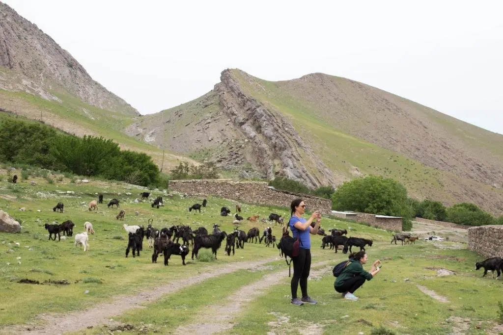 Сентяб: Komil`s homestay in Sentyab village